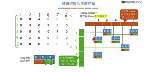 数据结构与存储结构 理论概述及其在数据处理与存储服务中的核心地位